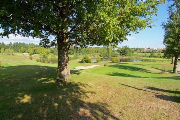 Foto van Romantische Toren in Dordogne met Dakterras - Vakantiehuis in Roussines - AreaSummer5KM