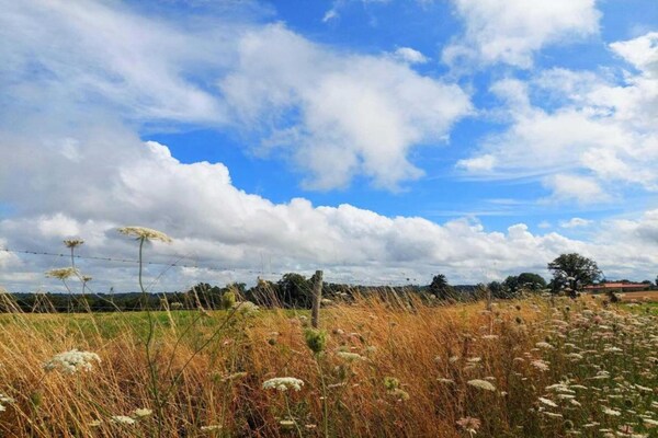 Foto van Romantische Toren in Dordogne met Dakterras - Vakantiehuis in Roussines - AreaSummer5KM