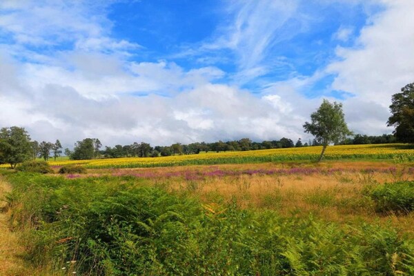 Foto van Romantische Toren in Dordogne met Dakterras - Vakantiehuis in Roussines - AreaSummer5KM