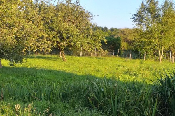 Foto van Romantische Toren in Dordogne met Dakterras - Vakantiehuis in Roussines - AreaSummer5KM