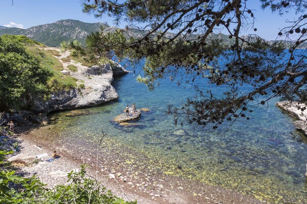 Foto van Appartement op Corsica bij Stranden - Vakantiehuis in Oletta - AreaSummer5KM