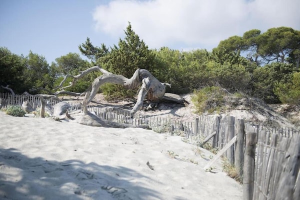Foto van Appartement op Corsica bij Stranden - Vakantiehuis in Oletta - AreaSummer5KM