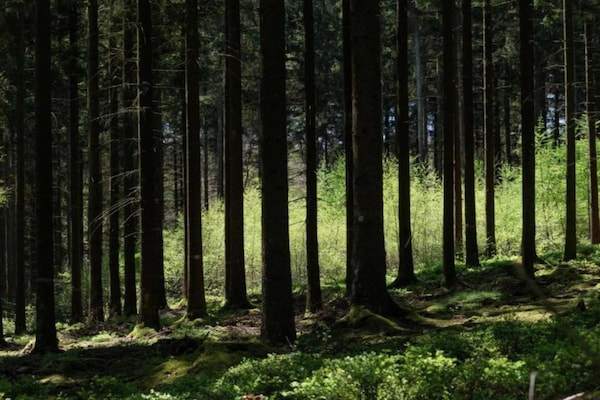Foto van Appartement in Frankrijk met Uitzicht op Zwembad - Vakantiehuis in Montignac - AreaSummer20KM