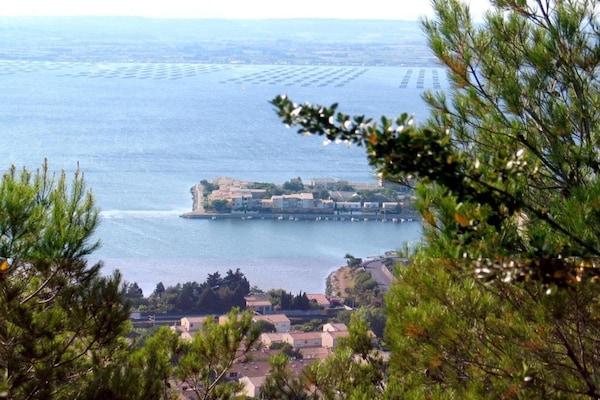 Foto van Ruime vakantiewoning met terras - Vakantiehuis in Cap d'Agde - AreaSummer20KM