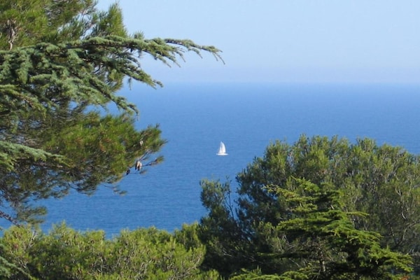 Foto van Ruime vakantiewoning met terras - Vakantiehuis in Cap d'Agde - AreaSummer20KM