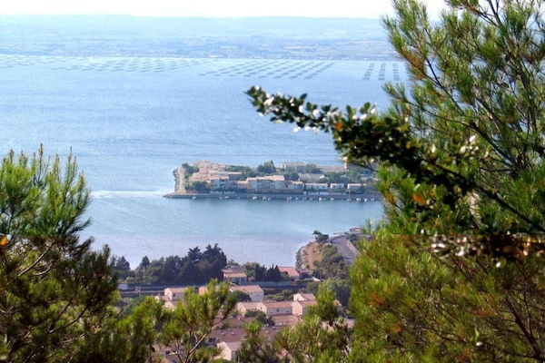 Foto van Ruime vakantiewoning met terras - Vakantiehuis in Cap d'Agde - AreaSummer20KM