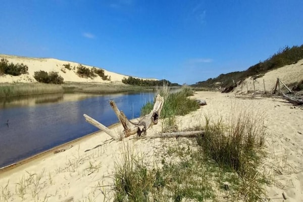 Foto van Huisdiervriendelijke Moliets Escape - Vakantiehuis in Moliets - AreaSummer20KM