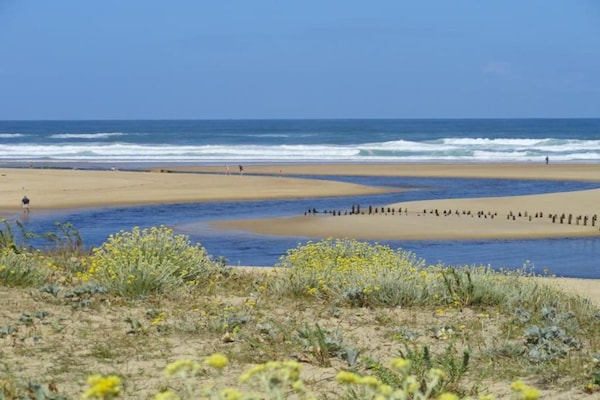 Foto van Huisdiervriendelijke Moliets Escape - Vakantiehuis in Moliets - AreaSummer20KM