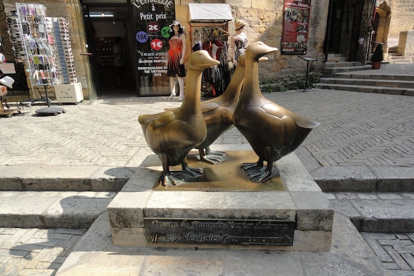 Foto van Villa in Frankrijk met privétuin - Vakantiehuis in Lanzac - ParkFacilities