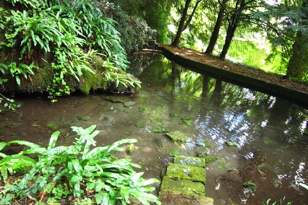 Foto van Huis in Frankrijk met zwembad en uitzicht - Vakantiehuis in Serrieres en Chautagne - GardenSummer