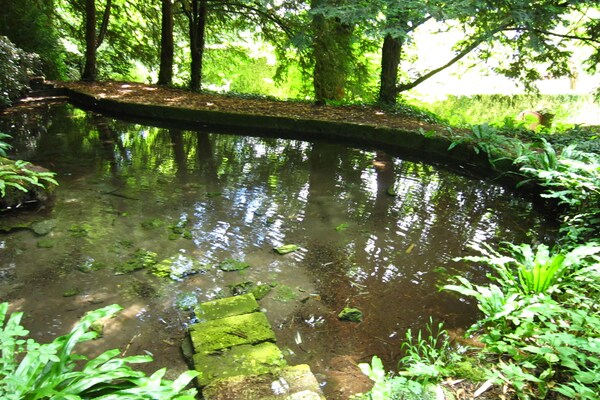 Foto van Huis in de Rhônevallei nabij skigebieden - Vakantiehuis in Serrieres en Chautagne - GardenSummer