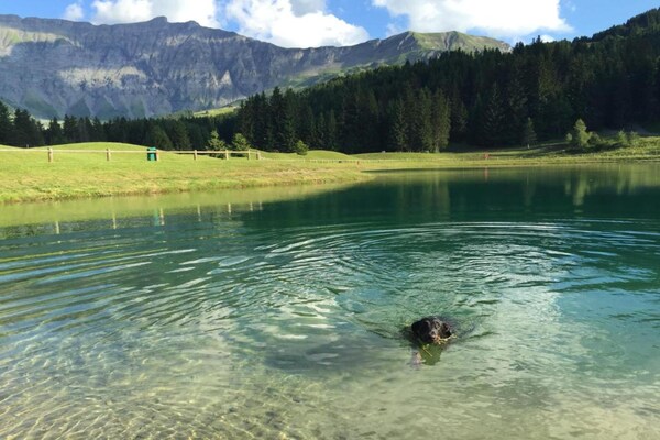 Foto van Luxe chalet nabij Megève - Vakantiehuis in Praz-sur-Arly - AreaSummer20KM