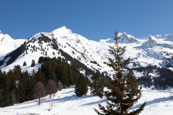 Foto van Chic appartement in chaletstijl - Vakantiehuis in La Clusaz - AreaWinter20KM