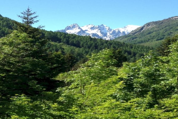 Foto van Appartement in Frankrijk bij Skigebied - Vakantiehuis in Vallorcine - AreaSummer5KM