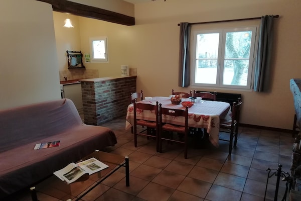 Foto van Vakantiehuis in Quend-Plage bij bos - Vakantiehuis in Quend-Plage - DiningRoom