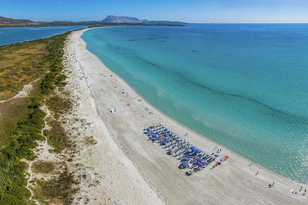 Foto van Appartement in San Teodoro - Vakantiehuis in San Teodoro (SS) - View