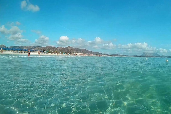 Foto van Appartement in San Teodoro - Vakantiehuis in San Teodoro (SS) - WaterView