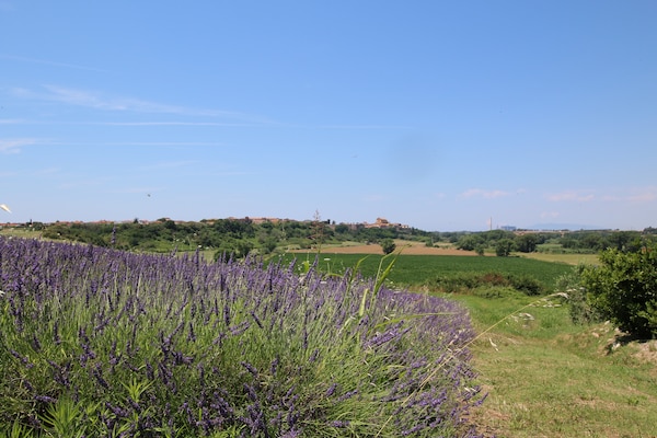 Foto van Boerderij in Montalto bij zandstranden - Vakantiehuis in Montalto di Castro - GardenSummer
