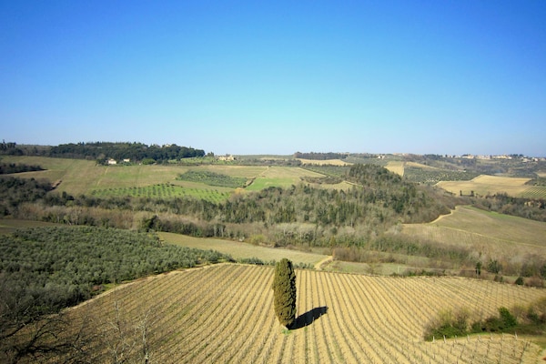 Foto van Wijnproeverijen, heuvels en Toscaanse huizen - Vakantiehuis in San Casciano in Val di Pesa - AreaSummer1KM