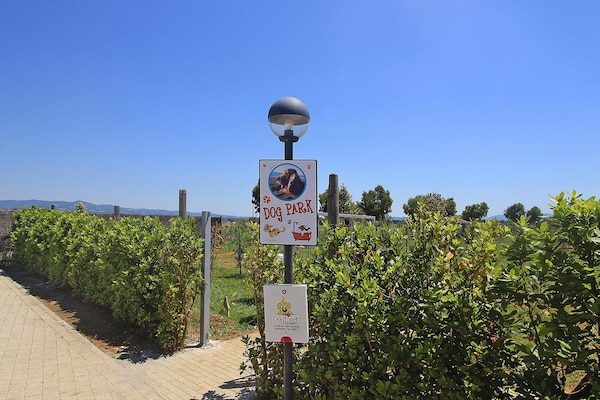 Foto van Appartement in Toscane bij zandstranden - Vakantiehuis in Vada - ExteriorSummer