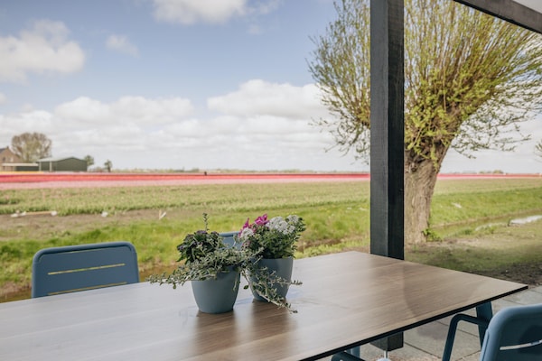 Foto van Lodge aan Markermeer bij Hoorn - Vakantiehuis in Wijdenes - TerraceBalcony
