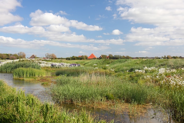 Foto van Comfortabel Callantsoog-retraite - Vakantiehuis in Callantsoog - AreaSummer5KM