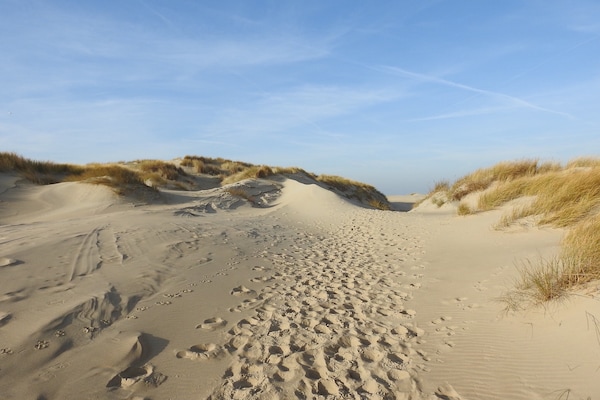 Foto van Vakantiehuis op Texel met Terras - Vakantiehuis in De Cocksdorp - AreaSummer5KM
