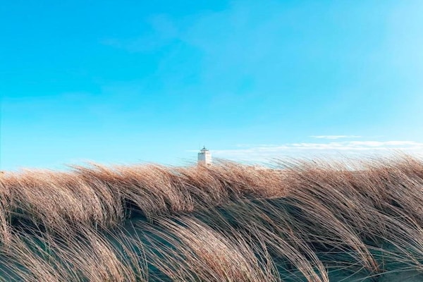 Foto van Vakantiehuis bij Nederlandse kust & park - Vakantiehuis in Noordwijk - AreaSummer5KM
