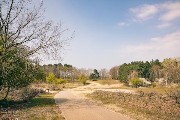 Foto van Zonnig Dunimar Retreat - Vakantiehuis in Noordwijkerhout - AreaSummer5KM