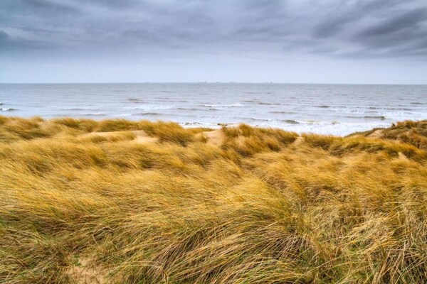 Foto van Kijkduin Chalet Vlakbij Strand - Vakantiehuis in Den Haag - AreaSummer20KM