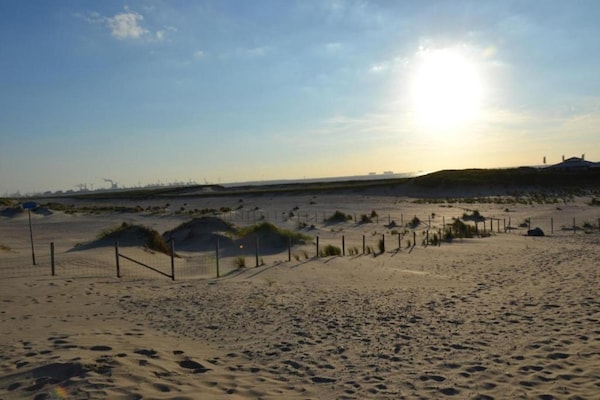 Foto van Bungalow in Nederland met Tuinterras - Vakantiehuis in 's-Gravenzande - AreaSummer20KM