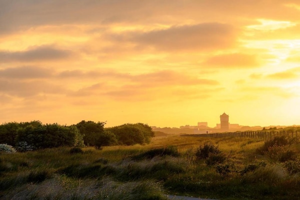 Foto van Bungalow in Nederland met Tuinterras - Vakantiehuis in 's-Gravenzande - AreaSummer20KM