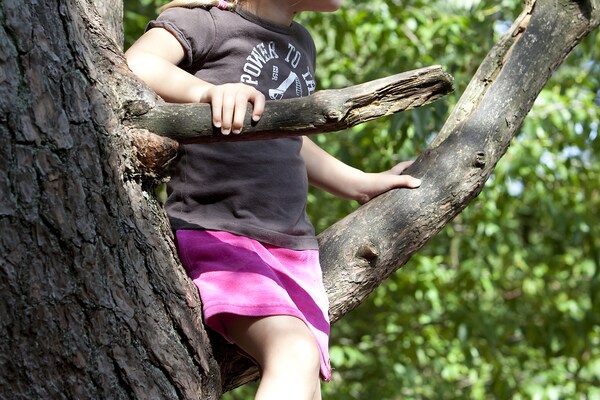 Foto van 6-persoons Comfort vakantiehuis met sauna. - Vakantiehuis in Kootwijk - AreaSummer1KM
