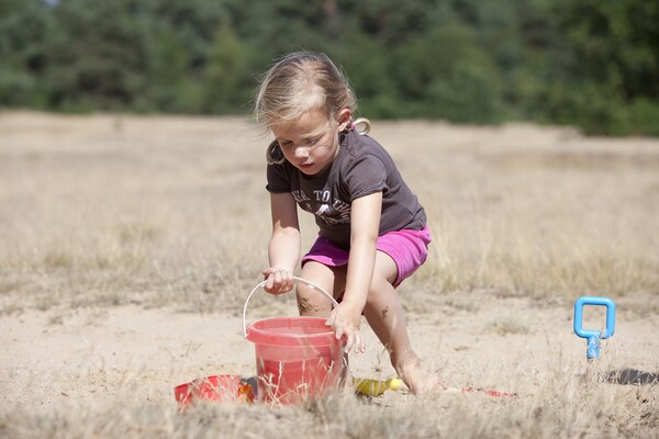 Foto van 6-persoons Comfort vakantiehuis met sauna. - Vakantiehuis in Kootwijk - AreaSummer1KM