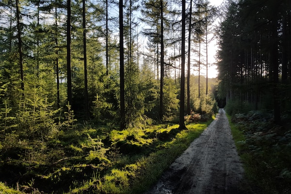 Foto van Charmante tuinvakantie - Vakantiehuis in Voorthuizen - AreaSummer1KM