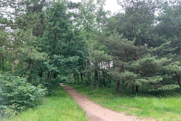 Foto van Bungalow in Veluwe Natuurpark - Vakantiehuis in Putten - AreaSummer5KM