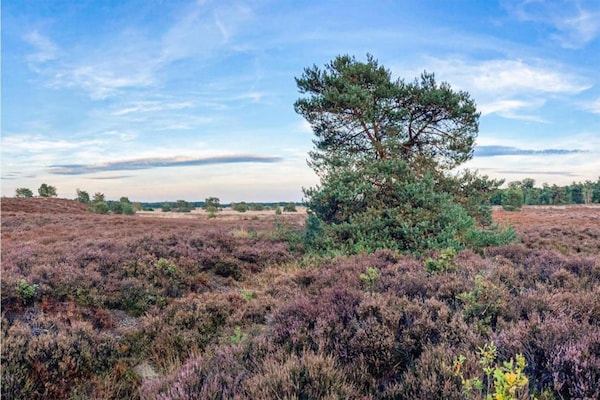 Foto van Bungalow in Veluwe Natuurpark - Vakantiehuis in Putten - AreaSummer5KM