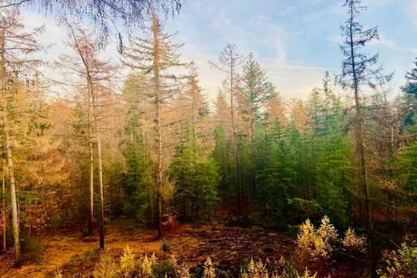 Foto van Bungalow in Veluwe Natuurpark - Vakantiehuis in Putten - AreaSummer5KM