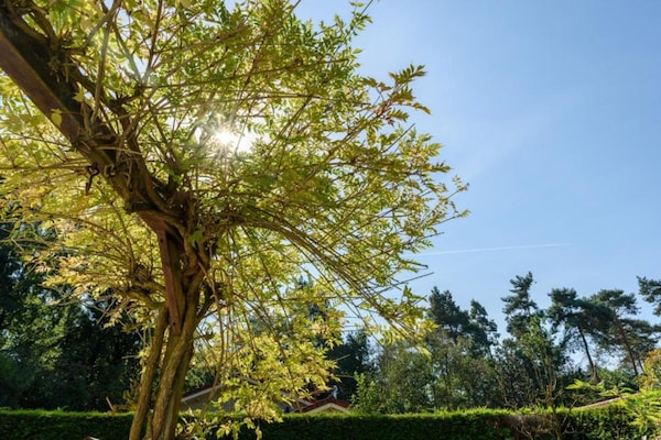 Foto van Bungalow in Veluwe Natuurpark - Vakantiehuis in Putten - AreaSummer5KM
