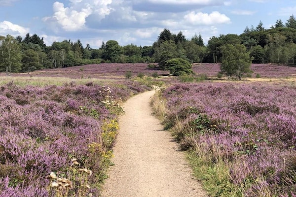Foto van Bungalow in Veluwe Natuurpark - Vakantiehuis in Putten - AreaSummer5KM