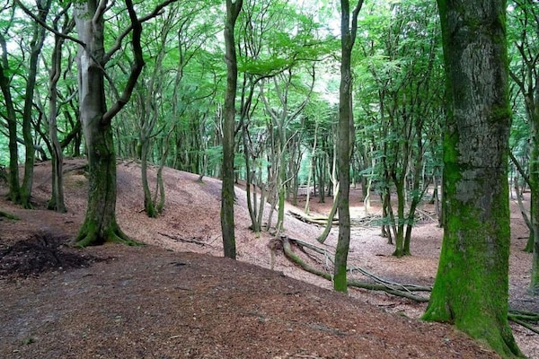 Foto van Bungalow in Veluwe Natuurpark - Vakantiehuis in Putten - AreaSummer5KM