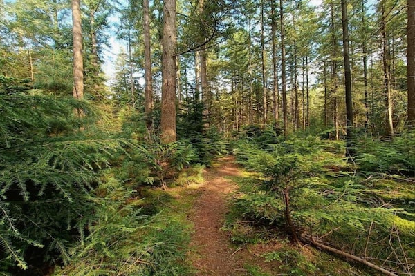 Foto van Bungalow in Veluwe Natuurpark - Vakantiehuis in Putten - AreaSummer5KM