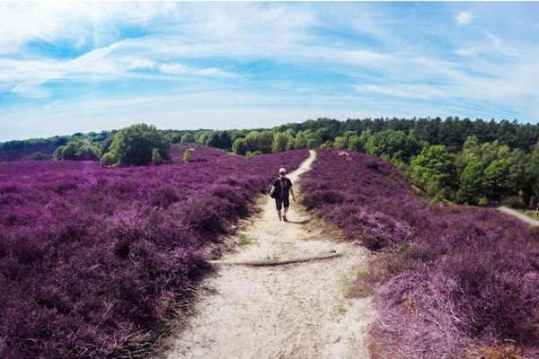 Foto van Bungalow in Veluwe Natuurpark - Vakantiehuis in Putten - AreaSummer5KM