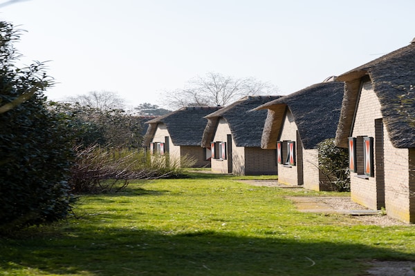 Foto van Bungalow in Veluwe Natuurpark - Vakantiehuis in Putten - ExteriorSummer