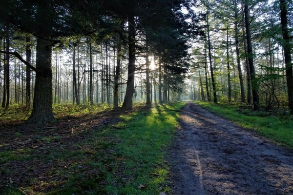 Foto van Bungalow in Veluwe bij Harderwijk - Vakantiehuis in Putten - AreaSummer5KM