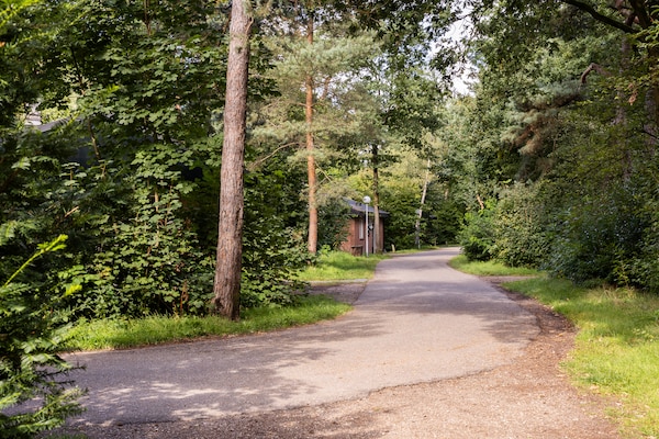 Foto van Ontspan & Kom tot Rust in Putten - Vakantiehuis in Putten - AreaSummer1KM