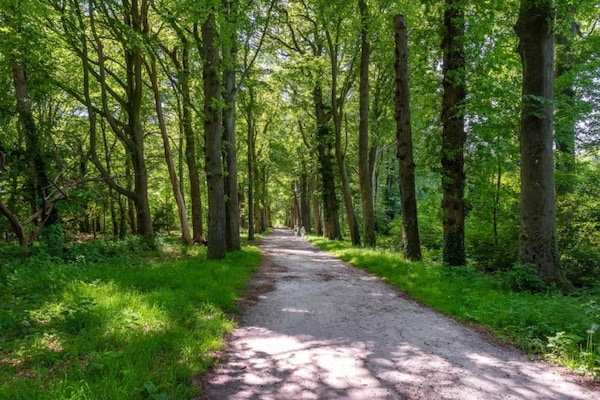 Foto van Lodge in Zeewolde bij Veluwemeer & Horsterwold - Vakantiehuis in Zeewolde - AreaSummer20KM