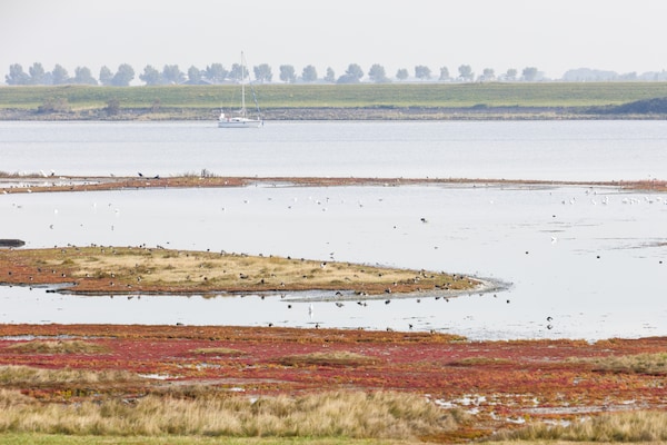 Foto van Villa aan het Veerse Meer met Uitzicht - Vakantiehuis in Arnemuiden - AreaSummer5KM