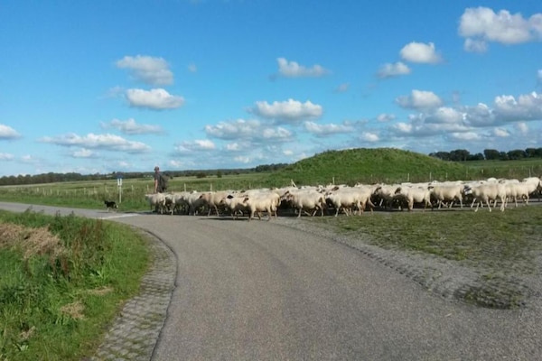 Foto van Villa aan het Veerse Meer met Uitzicht - Vakantiehuis in Arnemuiden - AreaSummer20KM