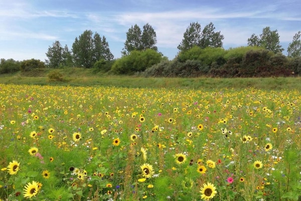 Foto van Villa aan het Veerse Meer met Uitzicht - Vakantiehuis in Arnemuiden - AreaSummer20KM